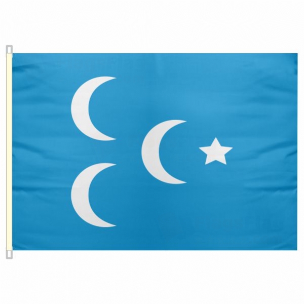 Supreme State Send Flag