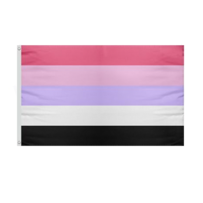 Lgbt Rainbow Reciprosexual Where Pennant Selling