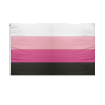 Lgbt Rainbow TransfemFlags Designs