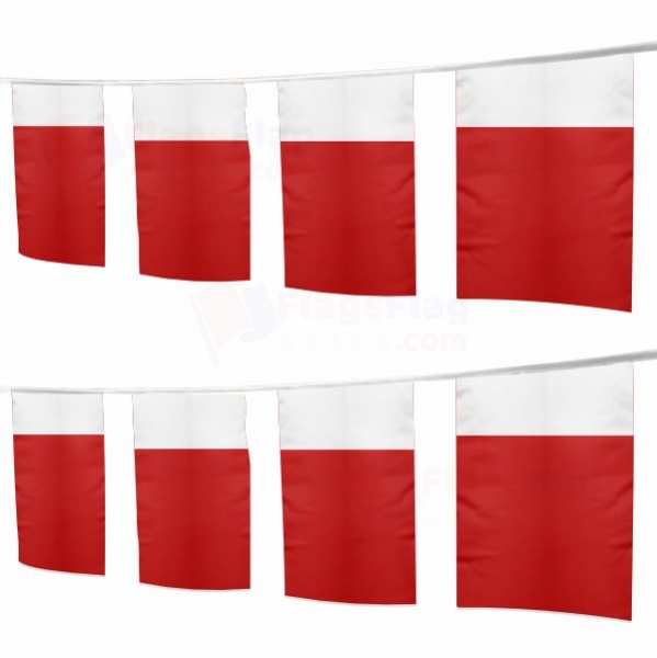 Ajman Emirate Square String Flags