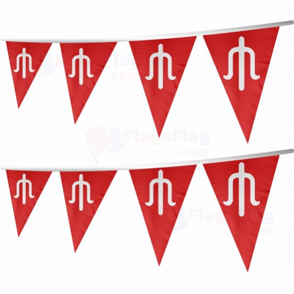 Alleged Stringed Triangle Flag