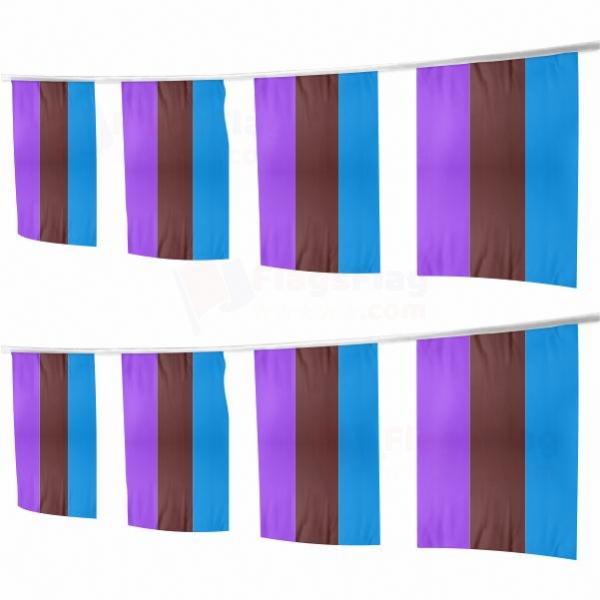 Androsexual Square String Flags