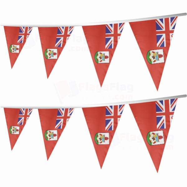 Bermuda Stringed Triangle Flag