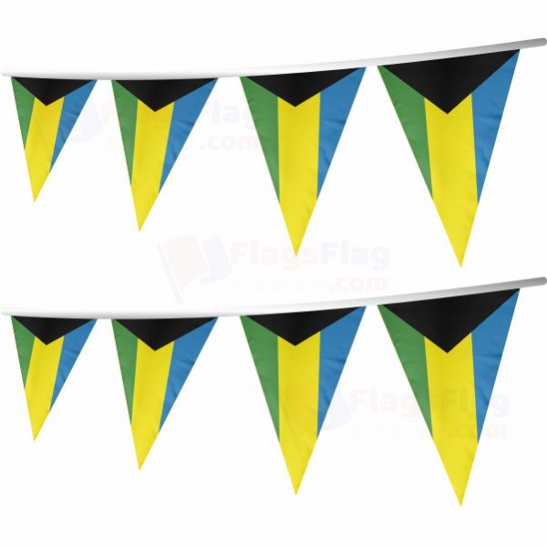 Braniewski Stringed Triangle Flag