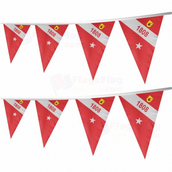 Brazilian Marine Corps Stringed Triangle Flag