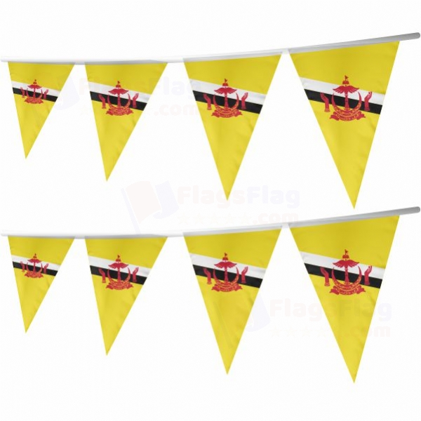 Brunei Stringed Triangle Flag