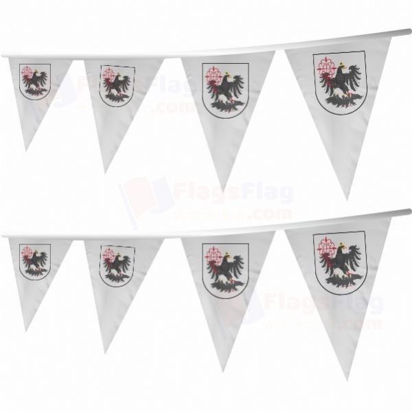 Buenos Aires Stringed Triangle Flag