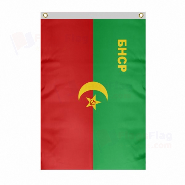 Bukharan People's Soviet Republic Large Size Flag Hanging on Building