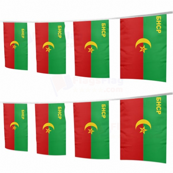 Bukharan People's Soviet Republic Square String Flags