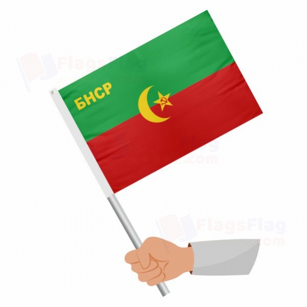 Bukharan People's Soviet Republic Stick Flag