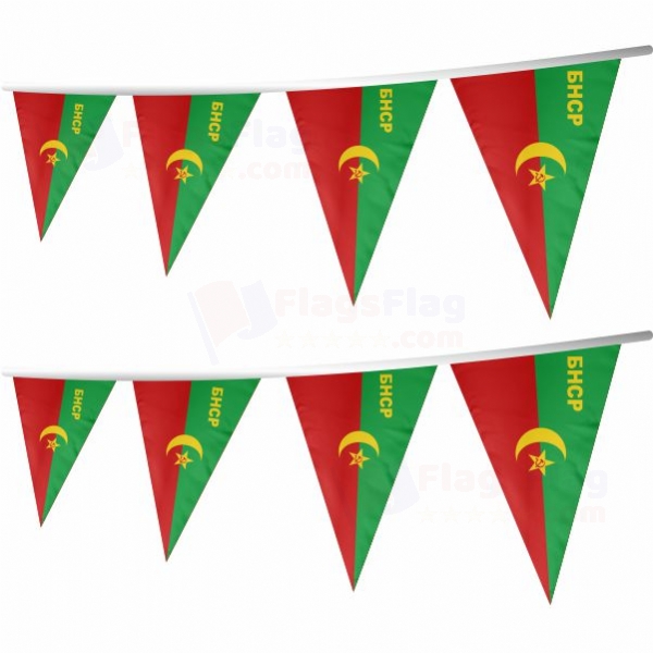 Bukharan People's Soviet Republic Stringed Triangle Flag