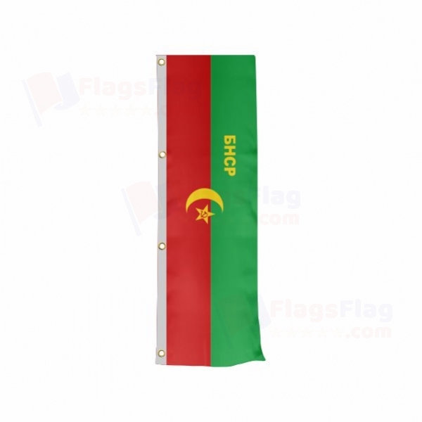 Bukharan People's Soviet Republic Vertically Raised Flags