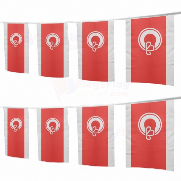 Calgary Square String Flags