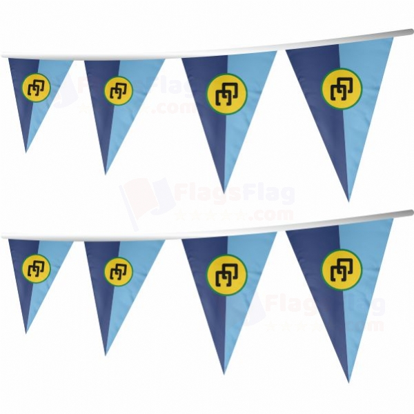 Caribbean Community Stringed Triangle Flag