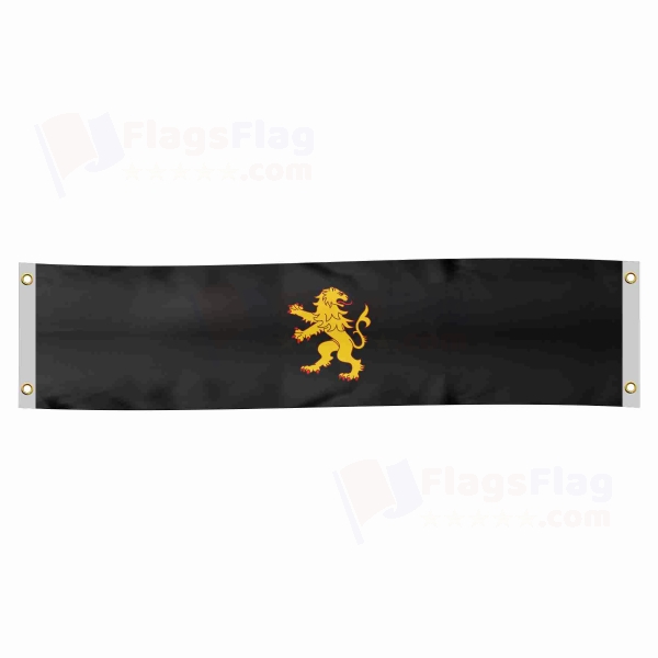 Ceredigion Poster Banner