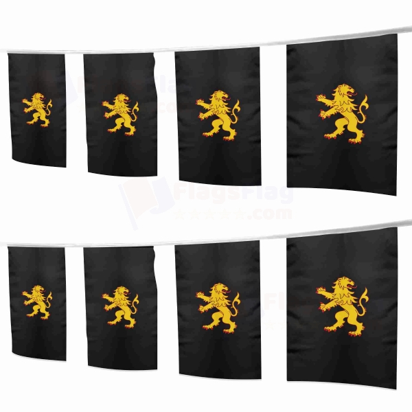 Ceredigion Square String Flags