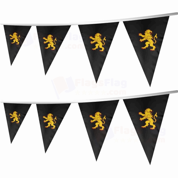 Ceredigion Stringed Triangle Flag