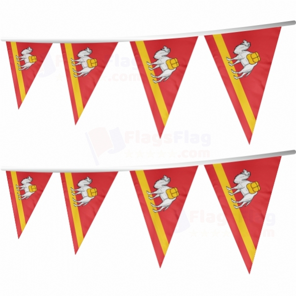 Chelyabinsk Oblast Stringed Triangle Flag