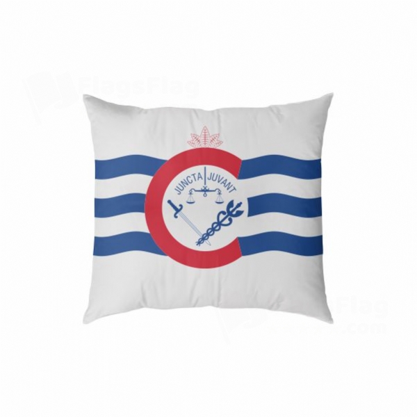 Cincinnati Digital Printed Pillow Cover