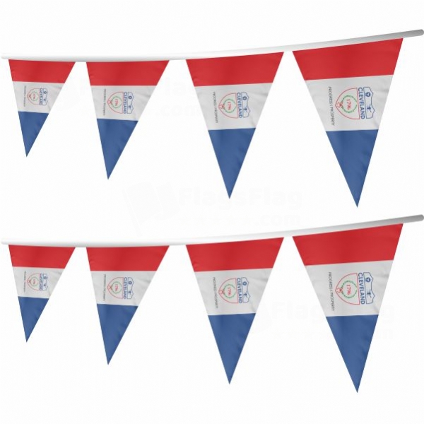 Cleveland Stringed Triangle Flag