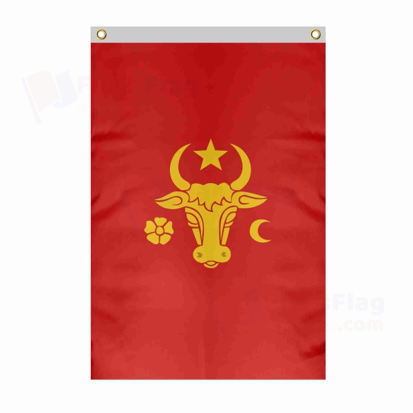 Coat Of Arms Of Moldavia Large Size Flag Hanging on Building