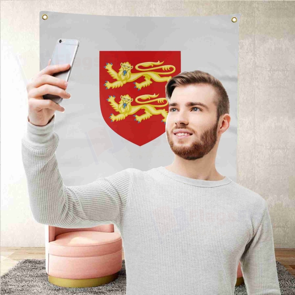 Coat Of Arms Of Normandy Background Selfie Shooting Landscapes
