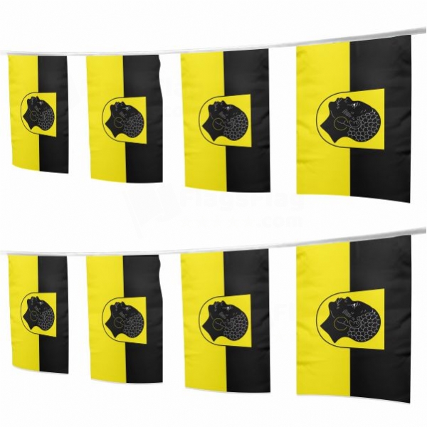 Coburg Square String Flags