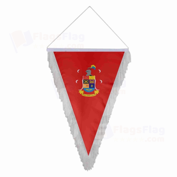 Colombian Army Triangle Fringed Streamers