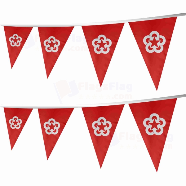 Comecon Stringed Triangle Flag