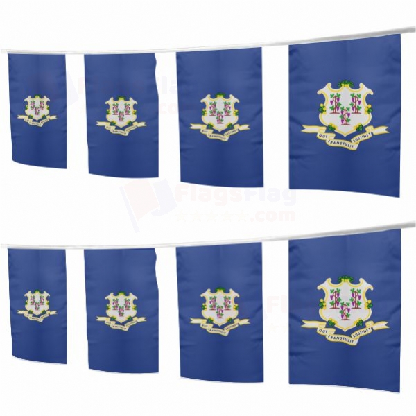 Connecticut Square String Flags