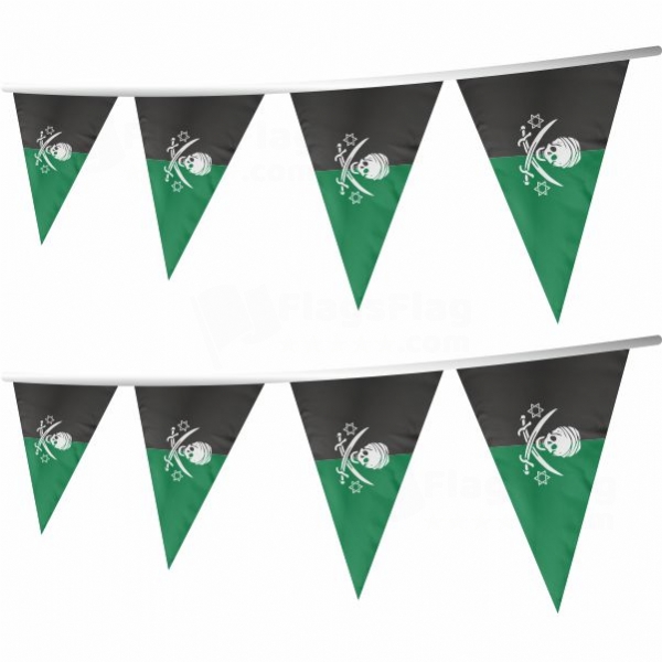 Corsairs Stringed Triangle Flag