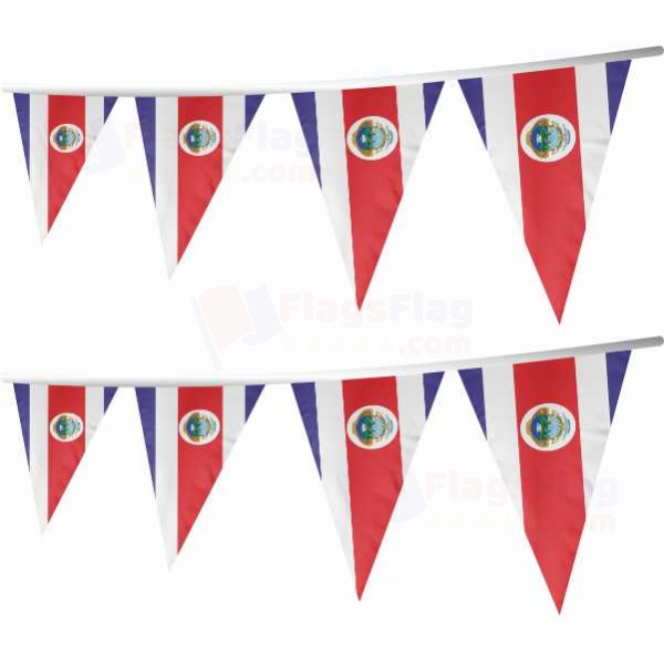 Costa Rica Stringed Triangle Flag