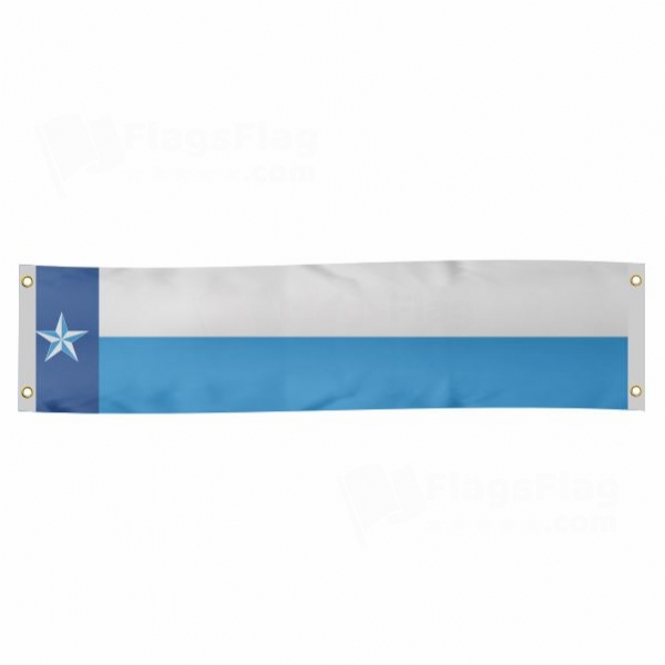 Dallas County Texas Poster Banner