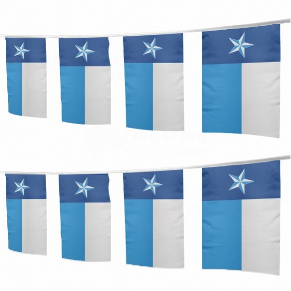 Dallas County Texas Square String Flags