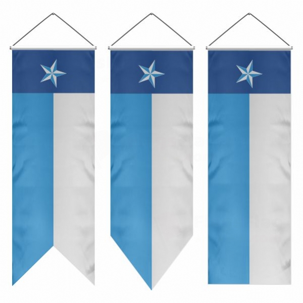 Dallas County Texas Swallowtail Flags