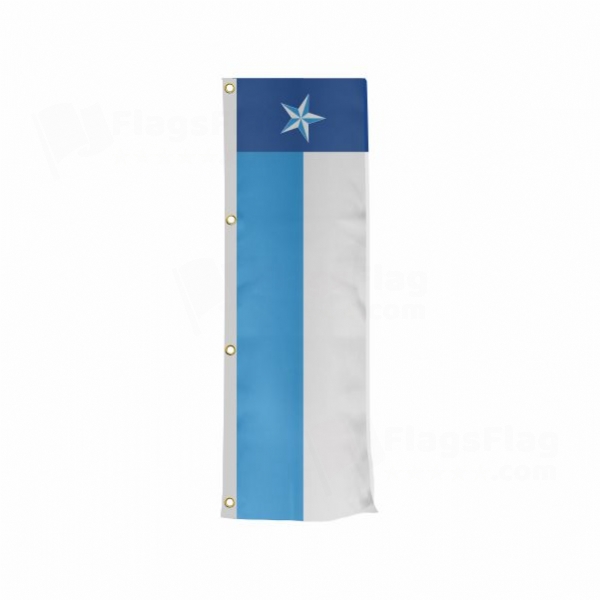 Dallas County Texas Vertically Raised Flags