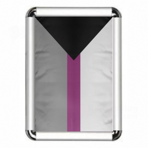 Demisexual Framed Pictures