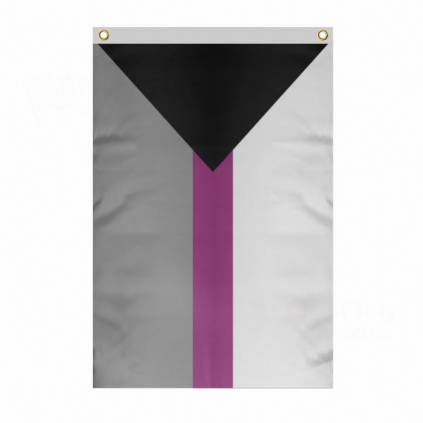 Demisexual Large Size Flag Hanging on Building