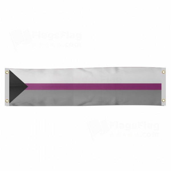 Demisexual Poster Banner