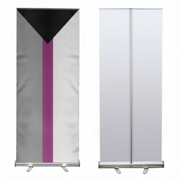 Demisexual Roll Up Banner