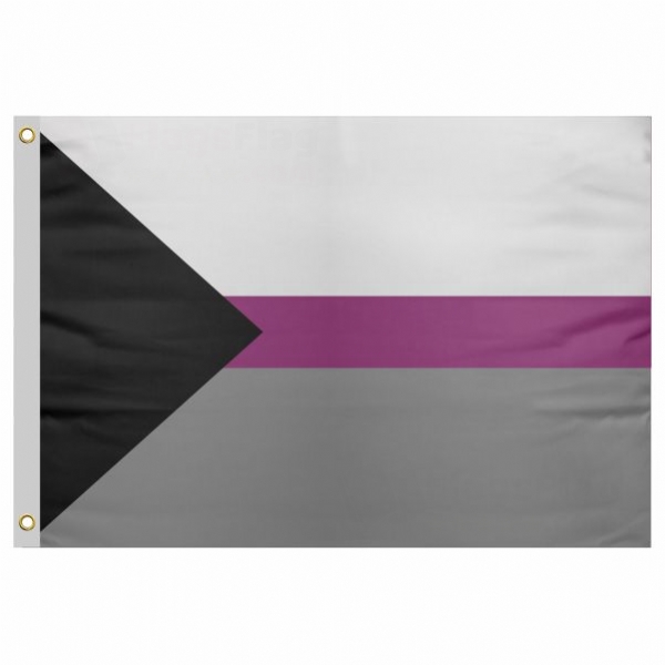 Demisexual Send Flag Price Demisexual Send Flag Prices