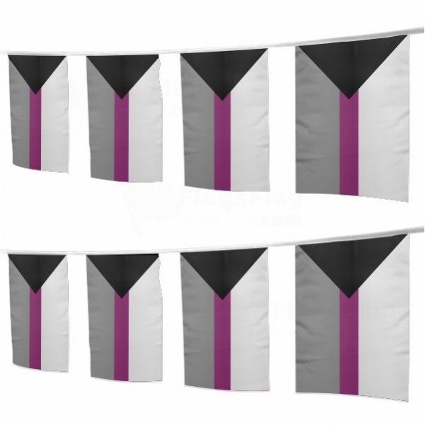 Demisexual Square String Flags