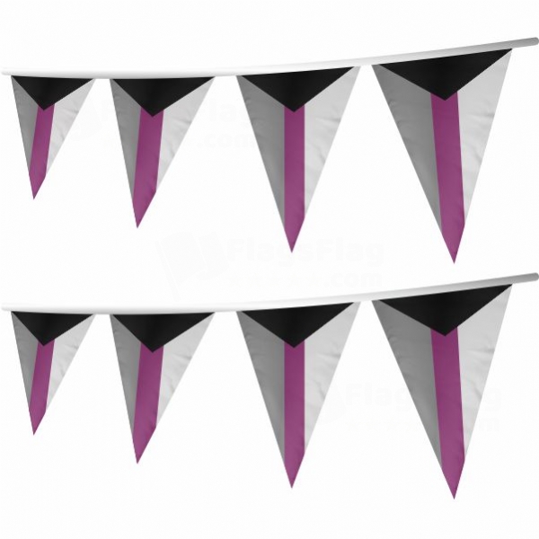 Demisexual Stringed Triangle Flag