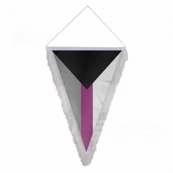 Demisexual Triangle Fringed Streamers