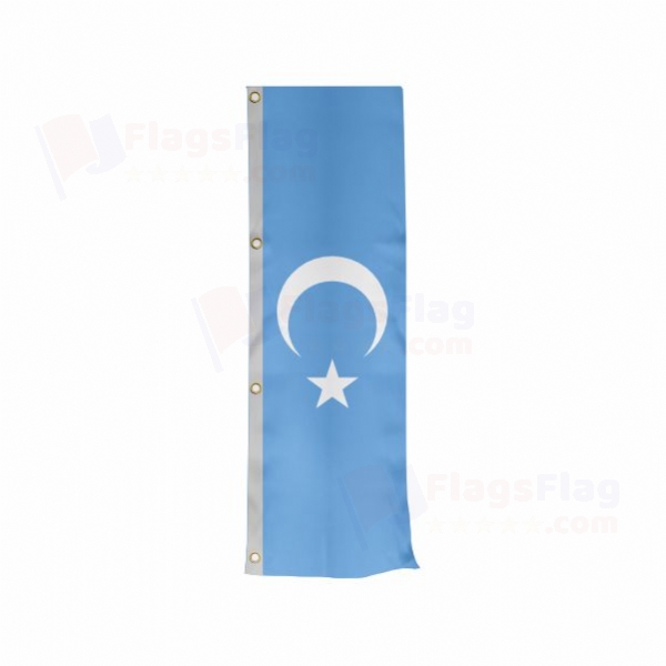 East Turkestan Vertically Raised Flags