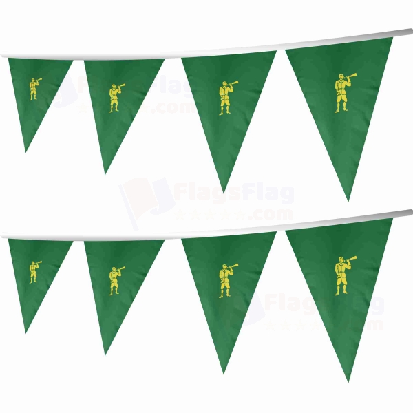 Edward Low The Green Trumpeter Stringed Triangle Flag