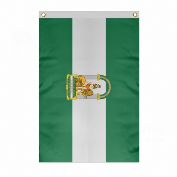 End�l�s Large Size Flag Hanging on Building