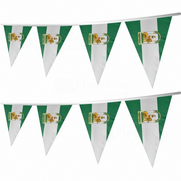 End�l�s Stringed Triangle Flag