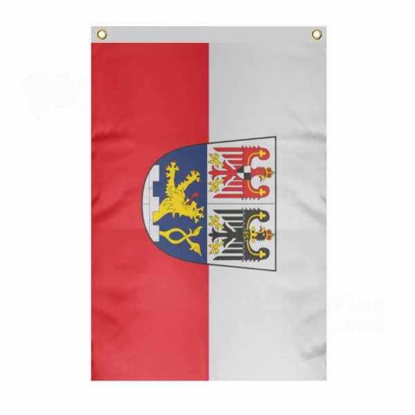 Erlangen Large Size Flag Hanging on Building