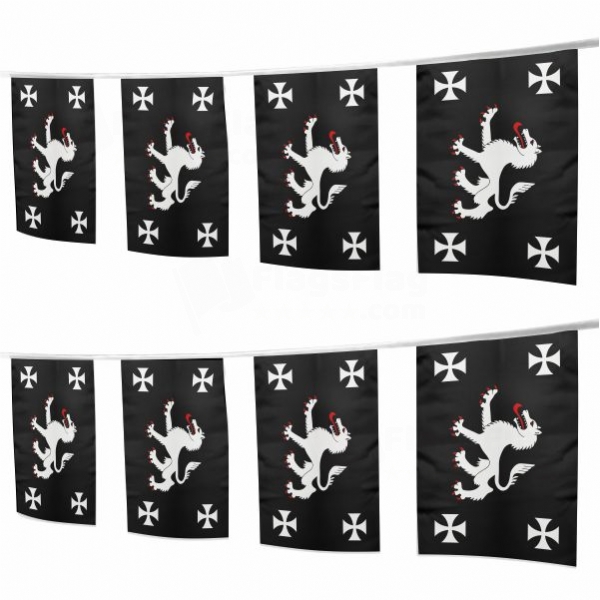 Evil Organization Square String Flags